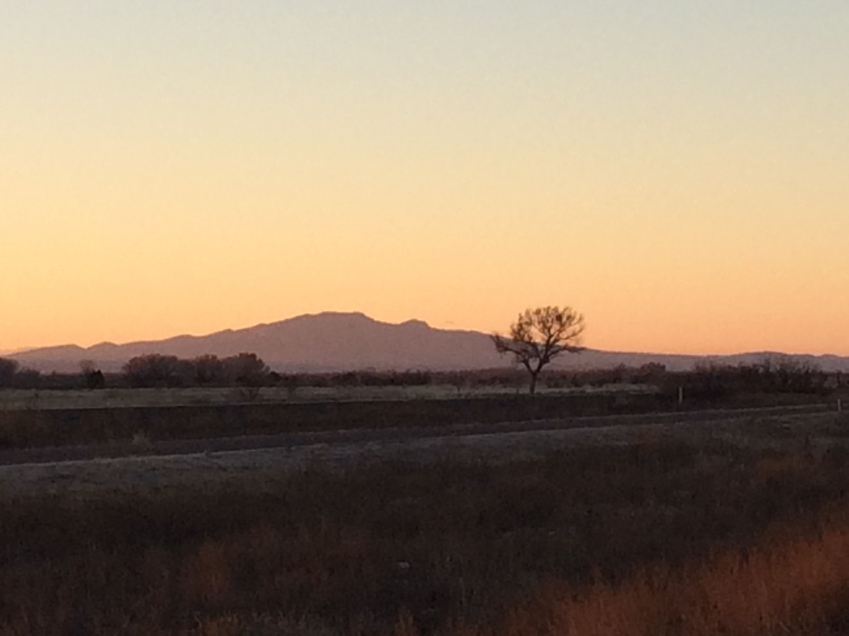 Bosque at Dawn