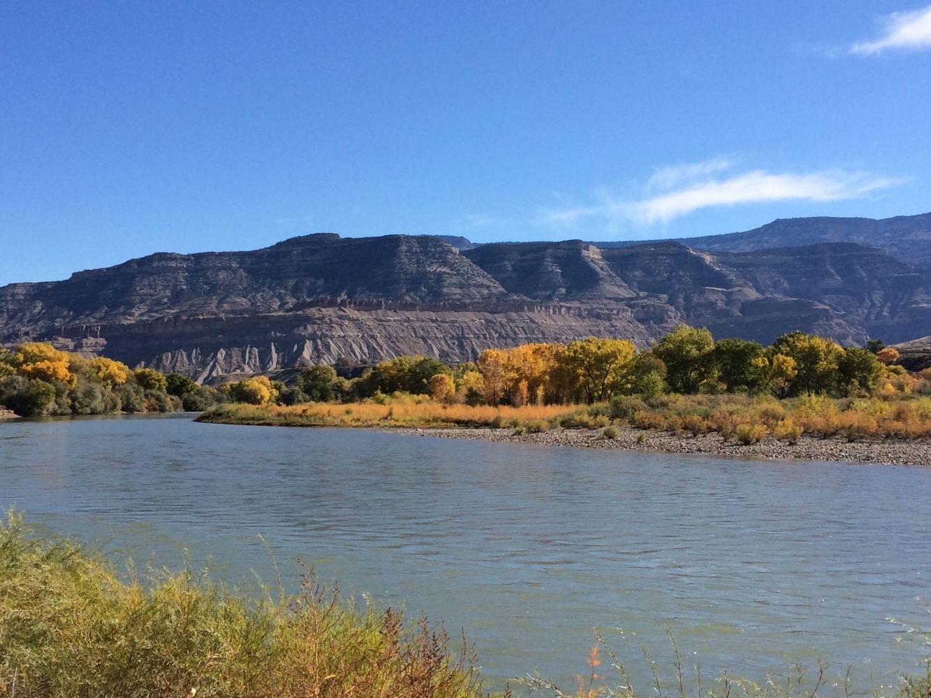 Dog Walking Along the Colorado River