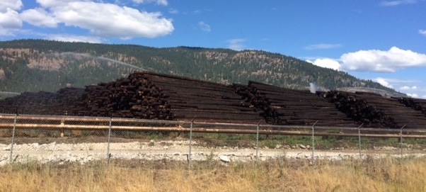 Log pile being watered