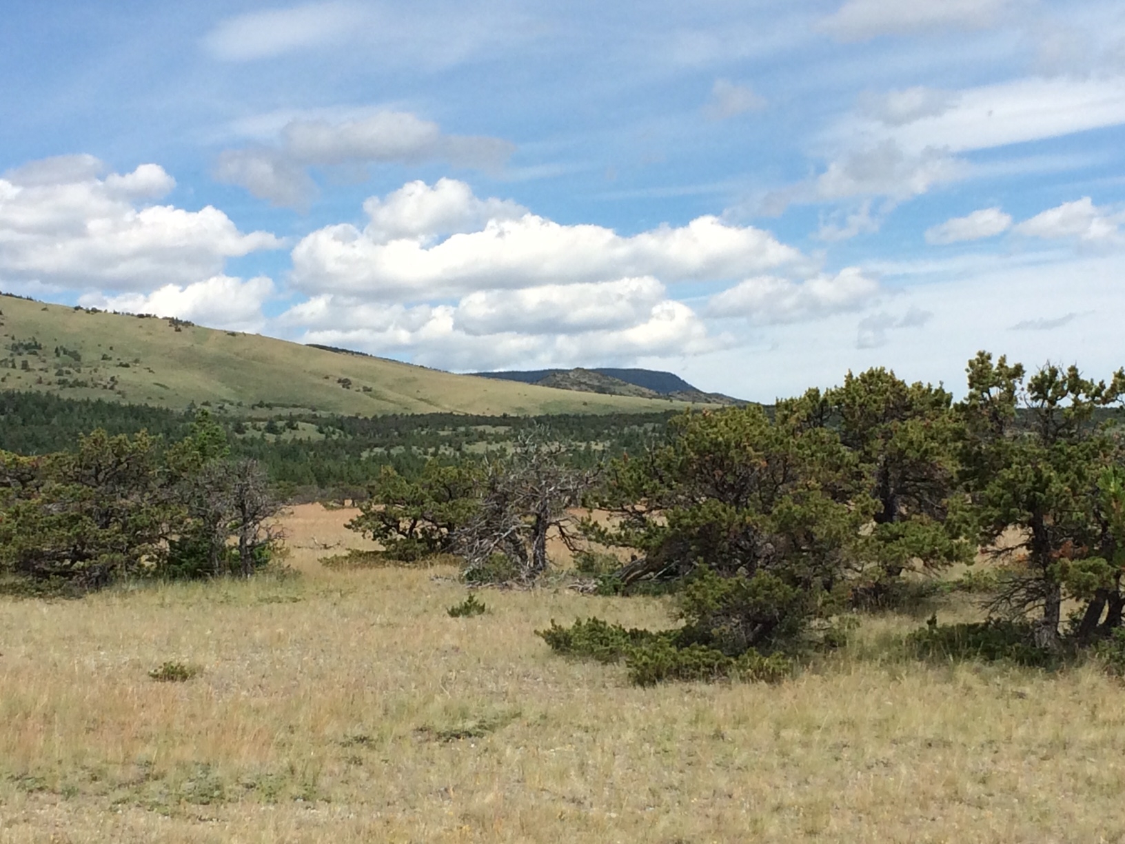 Headed for the Old North Trail