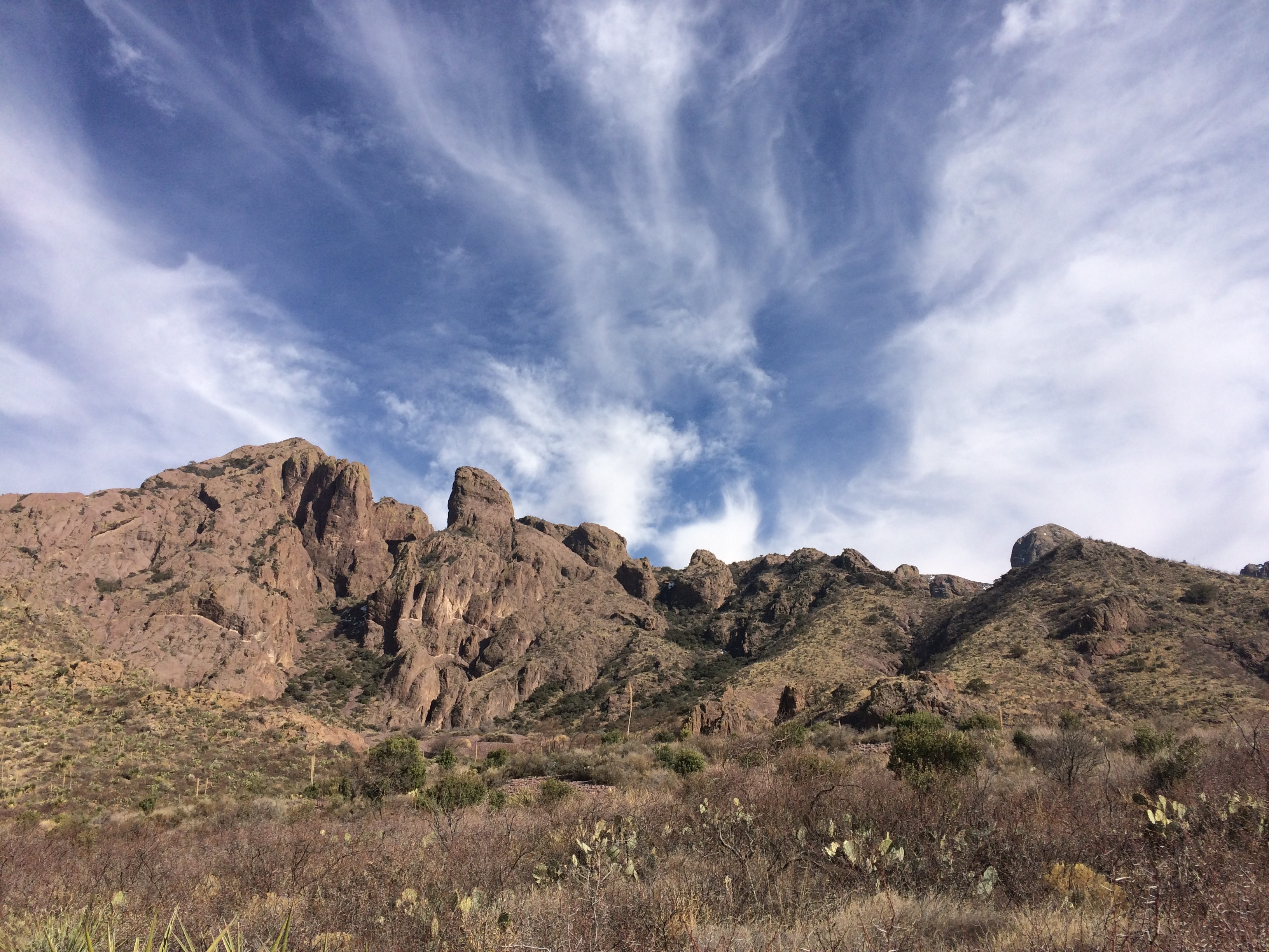 Organ Mountains