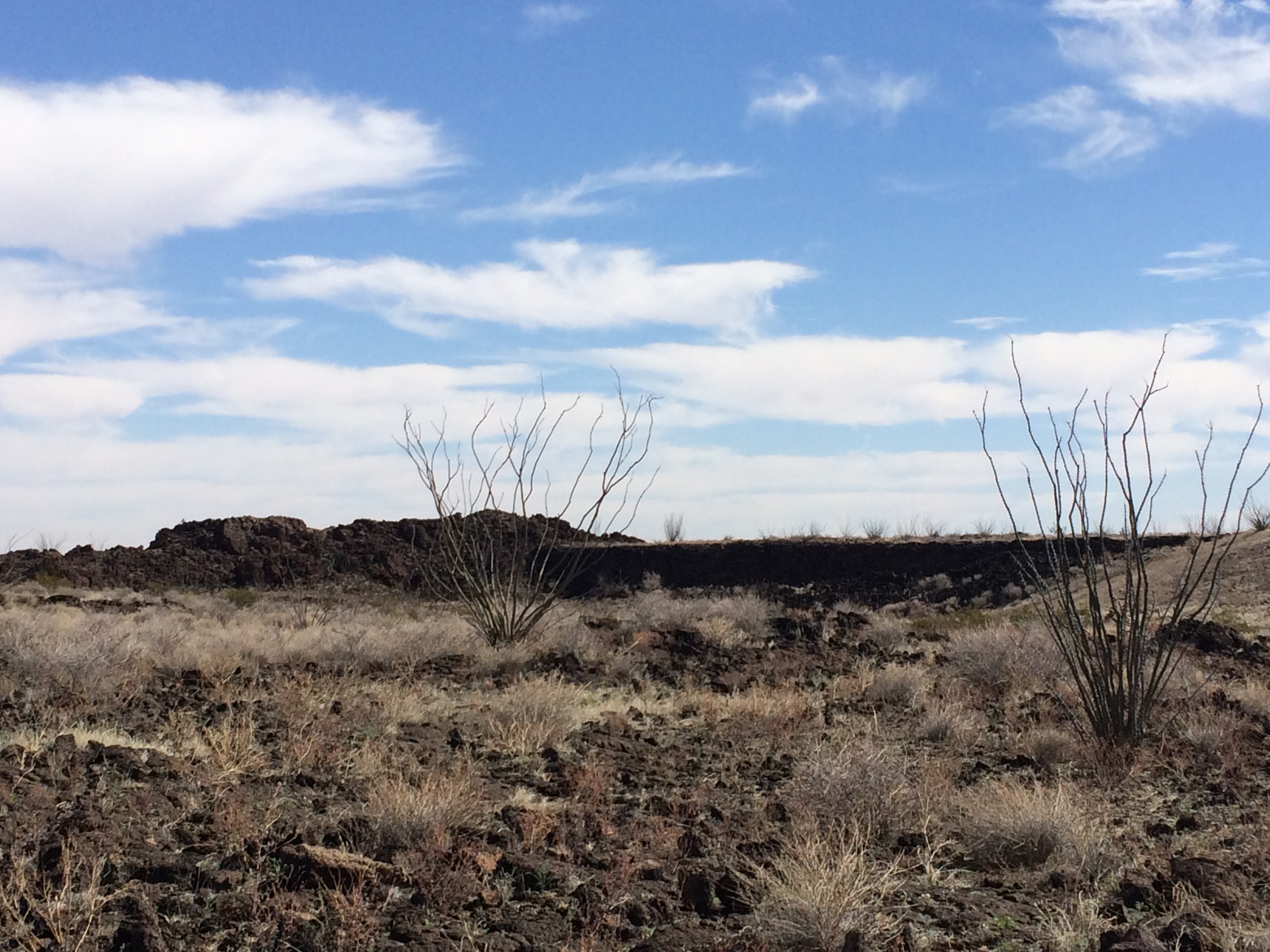 Desert Vistas