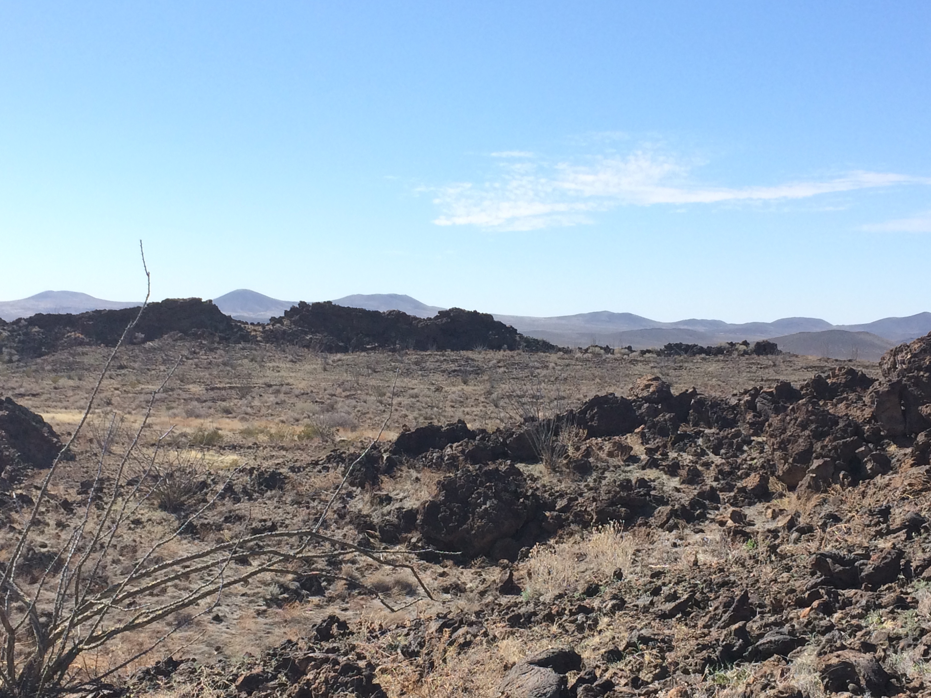 Native Plant Society Field Trip